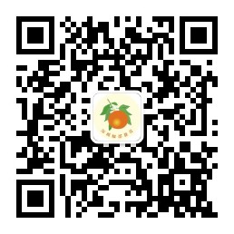 深圳橘郡教育服务号.jpg